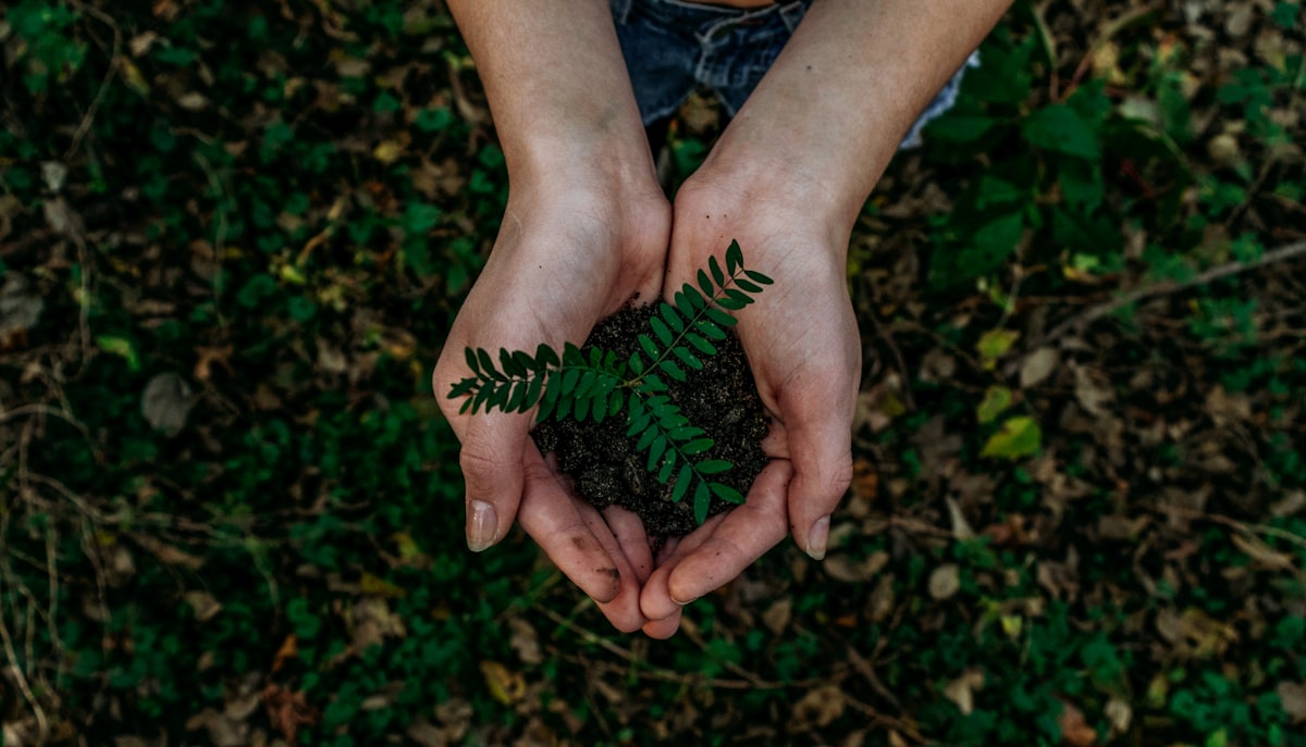 Sustainable future